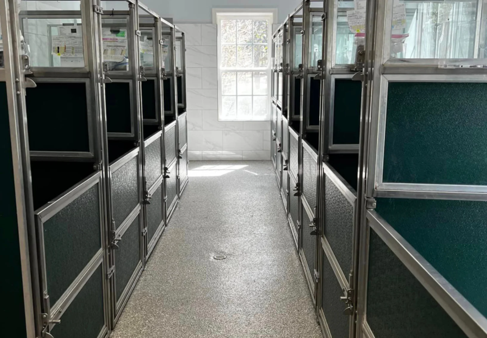 New boarding facility kennel area